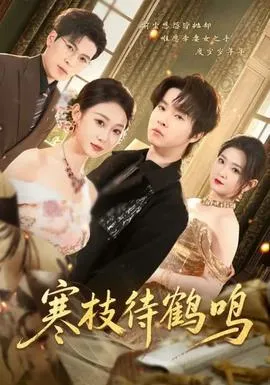 寒枝待鹤鸣在线观看