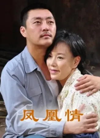 凤凰情【影视解说】封面