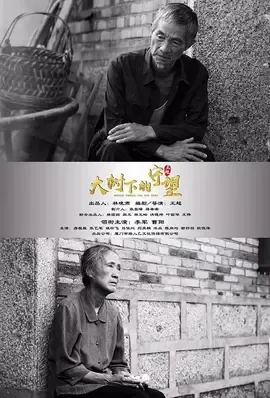 大树下的守望【影视解说】封面