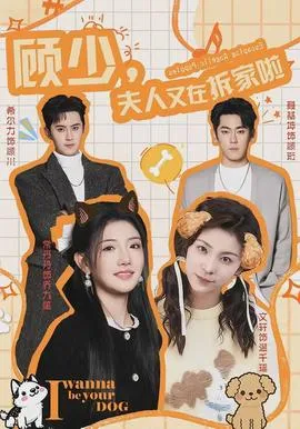 顾少，夫人又在拆家啦在线观看