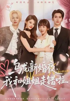 乌龙新婚夜，我和姐姐走错啦在线观看