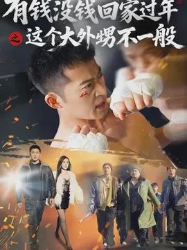 有钱没钱回家过年之这个大外甥不一般在线观看