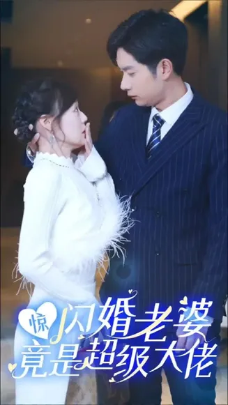 惊!闪婚老婆竟是超级大佬