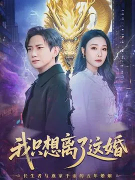 我只想离了这婚在线观看