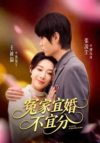 冤家宜婚不宜分在线观看