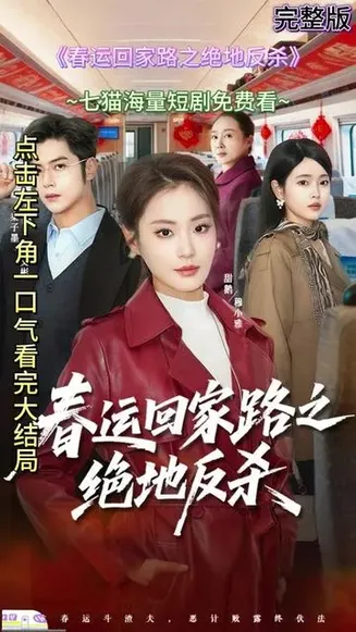 春运回家路之绝地反杀在线观看