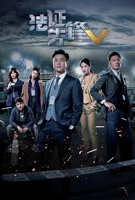 法证先锋5粤语在线观看