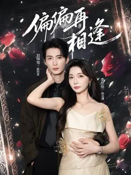 偏偏再相逢在线观看