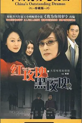 红玫瑰黑玫瑰在线观看