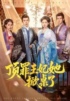 顶罪王妃她掀桌了在线观看