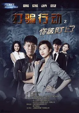 打骗行动之你被盯上了在线观看