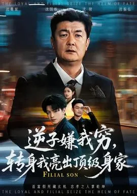 逆子嫌我穷，转身我亮出顶级身家在线观看