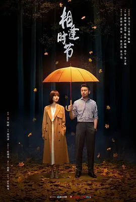 相逢时节在线观看