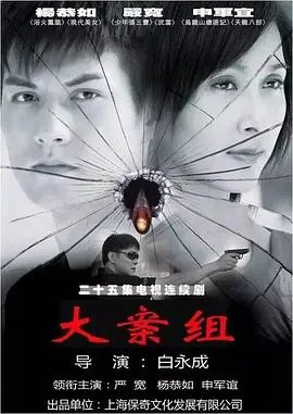 大案组在线观看