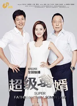 超级翁婿在线观看