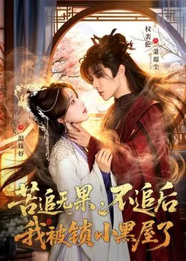 苦追无果，不追后我被锁小黑屋了在线观看