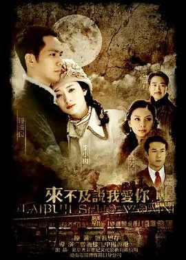来不及说我爱你在线观看