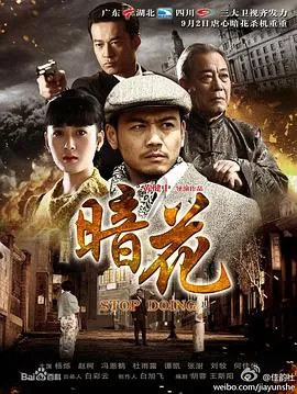 暗花2012在线观看