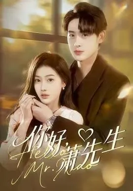 你好，萧先生在线观看