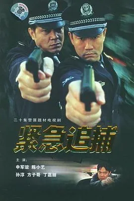 紧急追捕在线观看