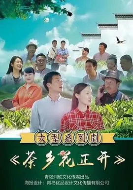 茶乡花正开在线观看