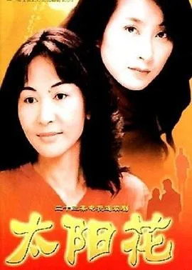 太阳花2002在线观看