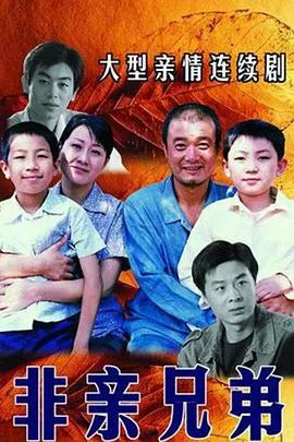非亲兄弟在线观看