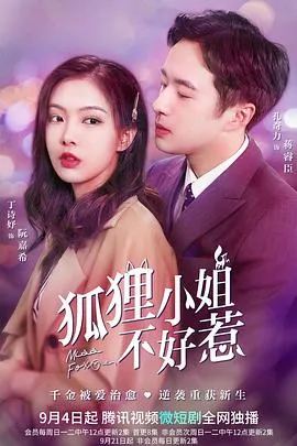 狐狸小姐不好惹在线观看