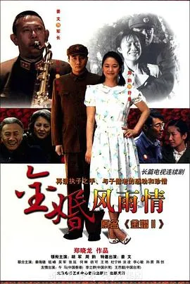 金婚·风雨情在线观看