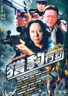 金海岸在线观看