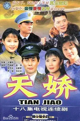 空姐的战争在线观看