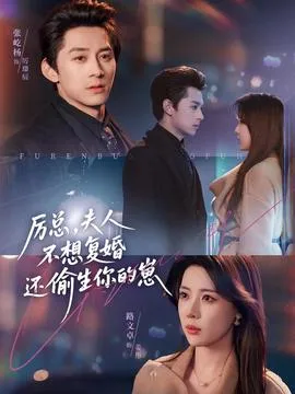 厉总，夫人不想复婚还偷生你的崽在线观看
