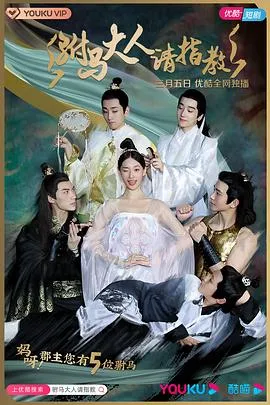驸马大人请指教在线观看