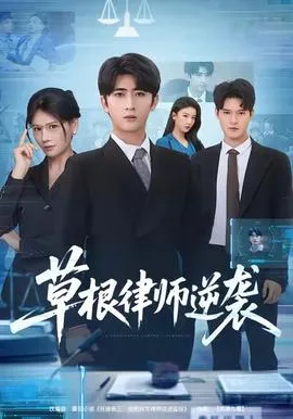 草根律师逆袭在线观看
