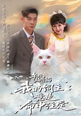午夜缅因猫我的饲主竟是命中注定在线观看