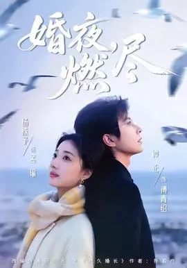 婚夜，燃尽在线观看
