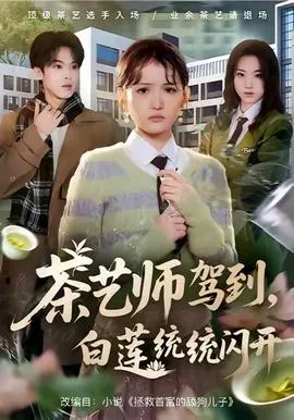 茶艺师驾到白莲统统闪开在线观看