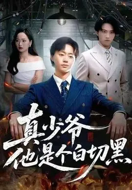 真少爷他是个白切黑在线观看