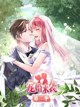 宠婚来袭第二季