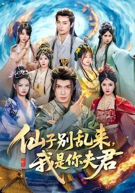 仙子别乱来，我是你夫君在线观看