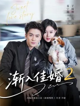 渐入佳婚2在线观看