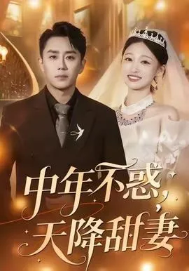 中年不惑，天降甜妻在线观看