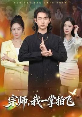 宗师，我一掌拍飞在线观看