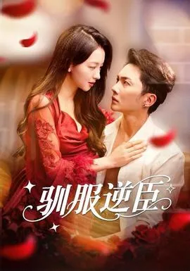 驯服逆臣在线观看