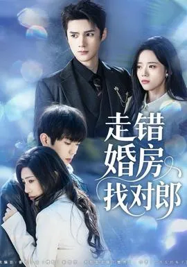 走错婚房找对郎在线观看