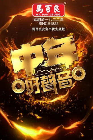 中年好声音在线观看
