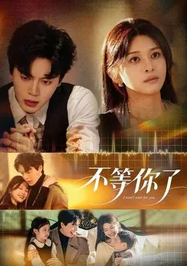 不等你了在线观看