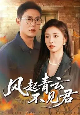 风起青云不见君在线观看