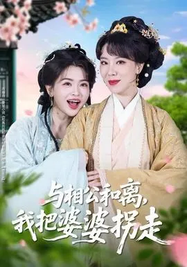与相公和离，我把婆婆拐走在线观看