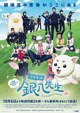 3年Z组银八老师在线观看
